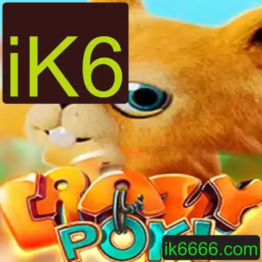 Explorando o Universo de CrazyPoki: Um Guia Completo